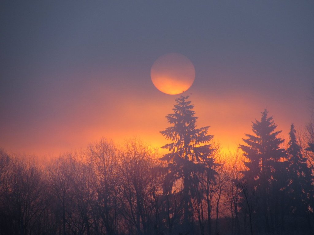 1st_Place_esterday_s_sunrise_Dinxperlo_Netherlands_by_Carina_Lichtenberg_70_carina_1024x1024