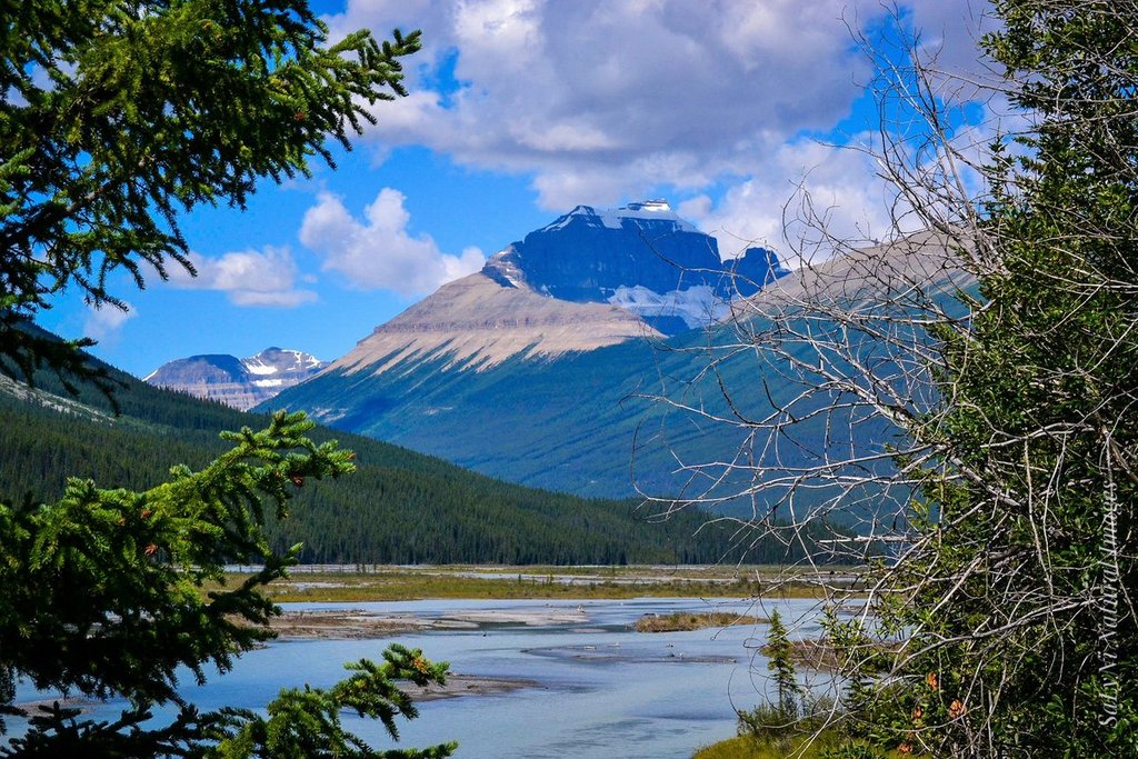 1st_Place_Icefields_Parkway_Banff_National_Park_Canada_by_Sandra_Nicol_tennis45luv_1024x1024