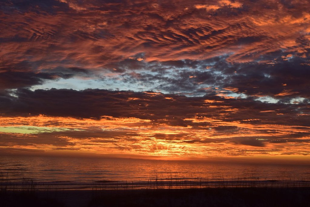 1st_Place_Winter_dawn_at_Jax_Beach_by_D_Malone_McMillan_EzekielANovel_2ff2cd58-44dd-462e-9b1e-5dfdeef525cc_1024x1024
