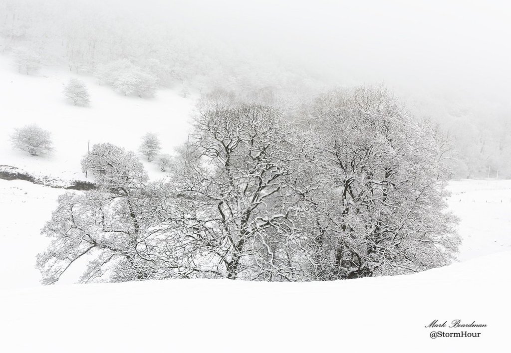 A_tree_in_a_dip_in_the_Peak_District_by_Mark_Boardman_StormHourMark_1024x1024