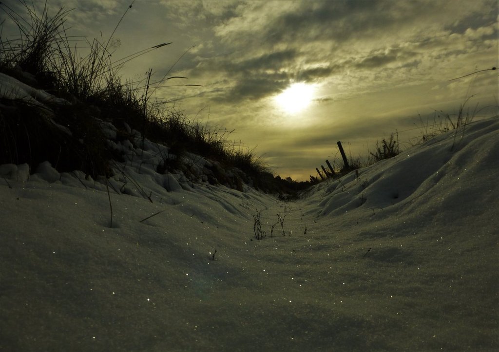 Pretty_sparkles_in_the_snow_Lethen_Nairn_Scotland_by_Lisa_Lethen_lisawood81_1024x1024