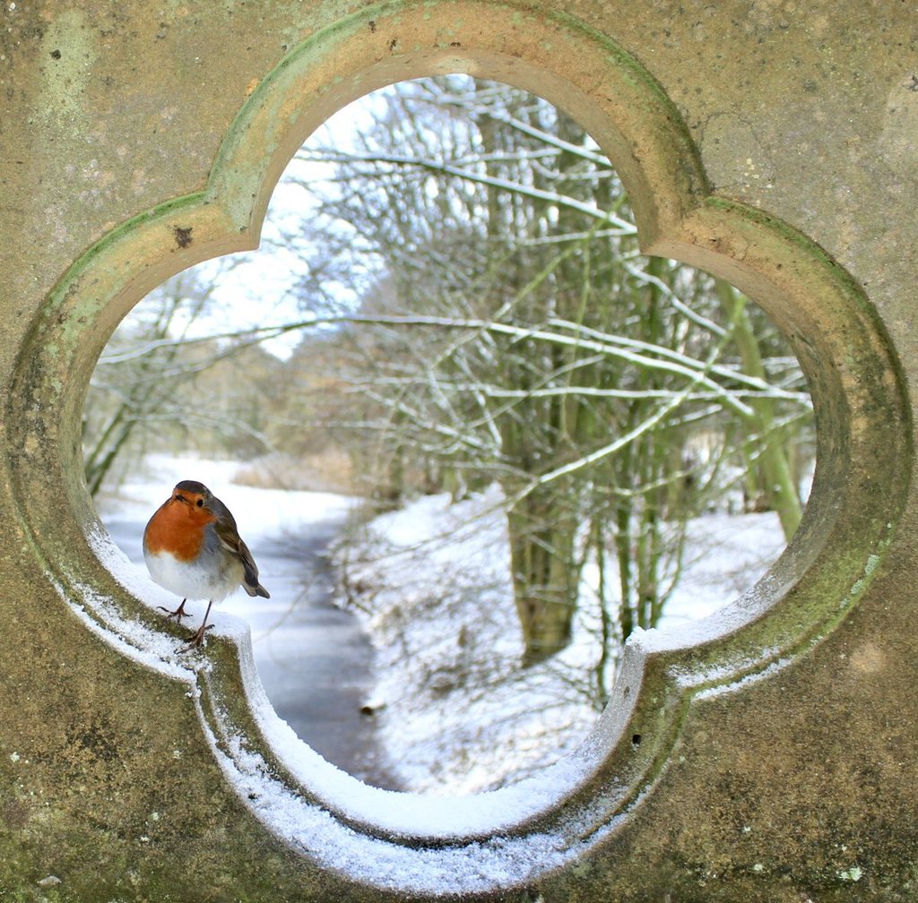 Taken_on_the_stone_bridge_at_Hardwick_Park_Sedgefield_by_Shel_Dunn_ShelD83_1024x1024