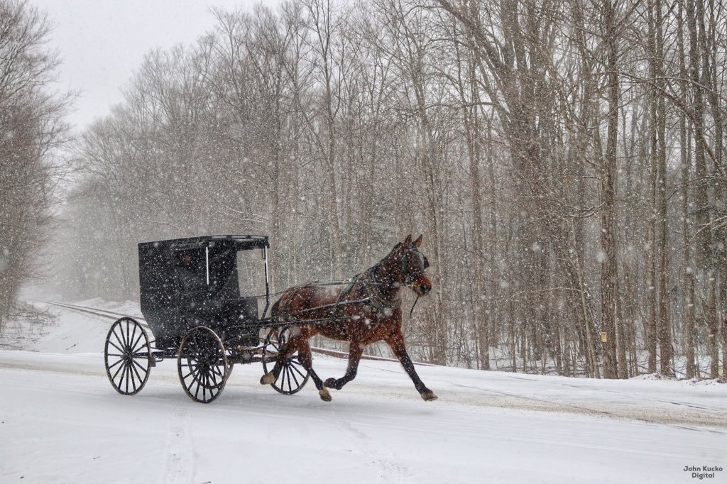 Wintry_morning_in_Arcadia_NY_by_John_Kucko_john_kucko_1024x1024