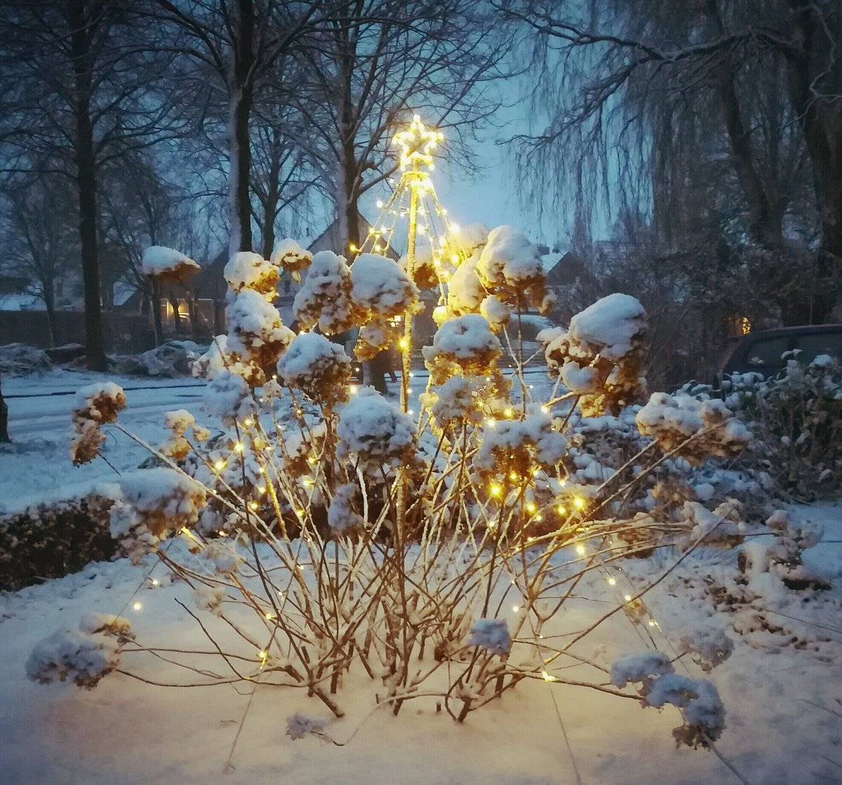 1st Place Meteo-Nederland @SevereWeather_N Snow in the Friesland, Netherlands today!
