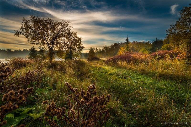 A misty autumn morning
