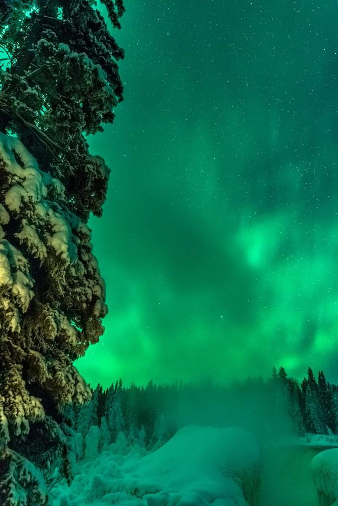 Aurora_Borealis_over_Northern_Manitoba_Canada_by_Brent_Mckean_BrentMckean501_1024x1024