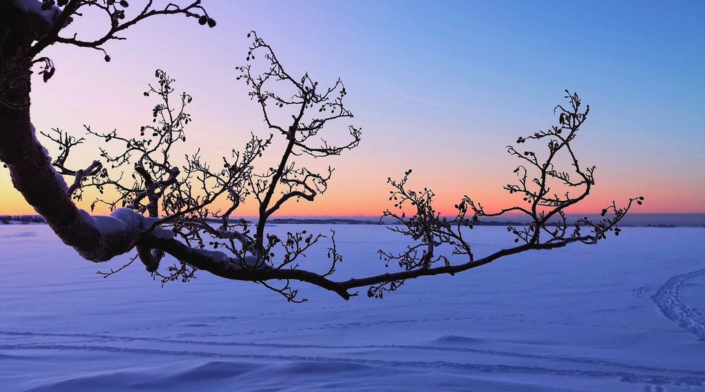Colorful_moment_in_Nature_Helsinki_Finland_by_Laku_Lance_Laku_Lance_1024x1024