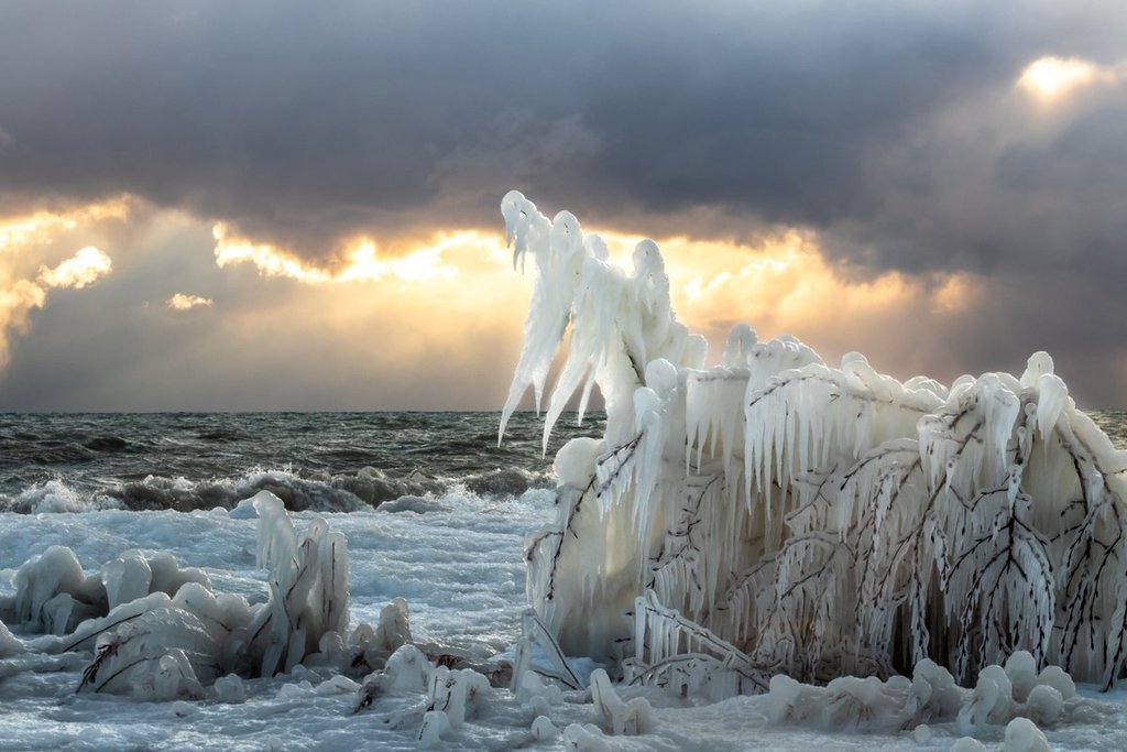 Creatures_along_the_lakeshore_at_Ontario_by_Chris_Knox_Photography_ChrisKnox413_1024x1024