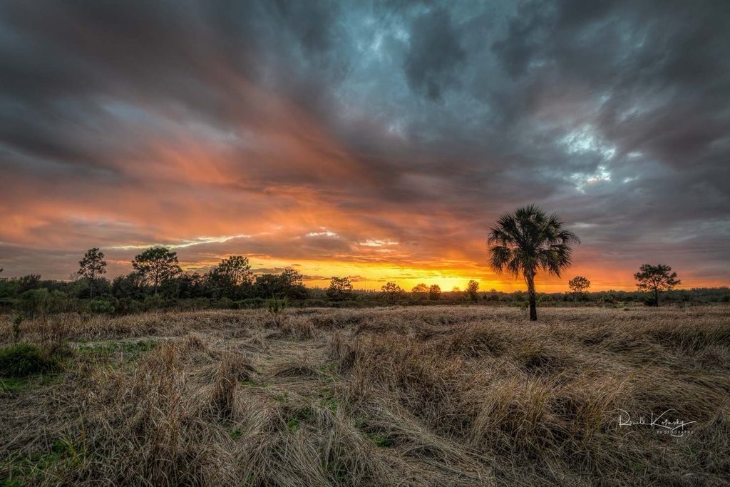 Fields_of_Fire_-_Plant_City_-_Florida_by_Ronald_Kotinsky_rkotinsky_1024x1024