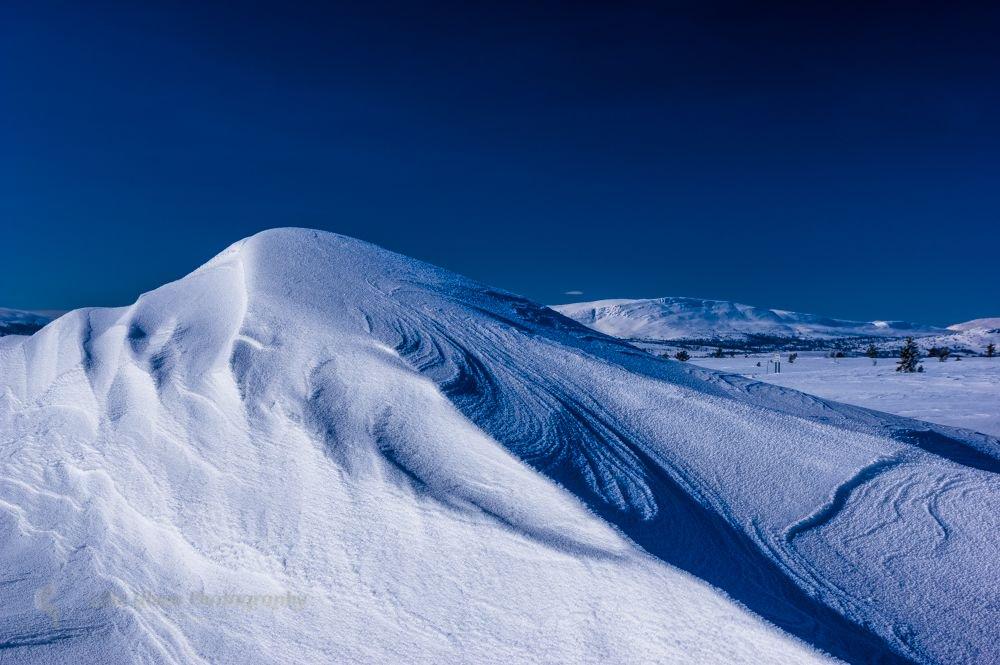 Forrestadsaetra_Norway_by_Wiebke_Schroder_lille_ulven_1024x1024