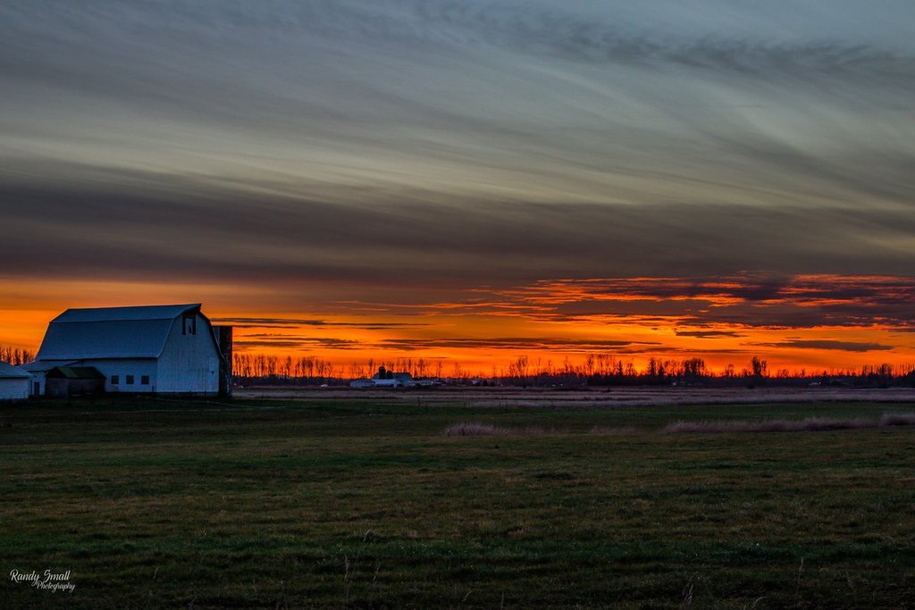 Sunset_in_Everson_WA._by_Randy_Small_RandySmall_1024x1024