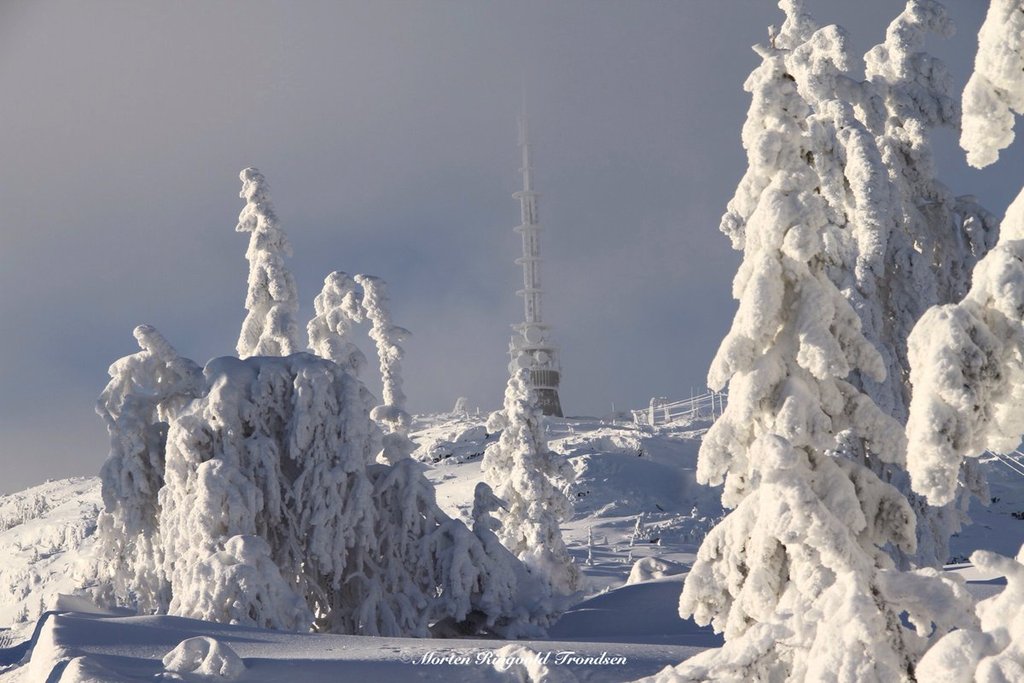 Winter_in_Kongsberg_by_Morten_R_Trondsen_MortenRTrondsen_1024x1024