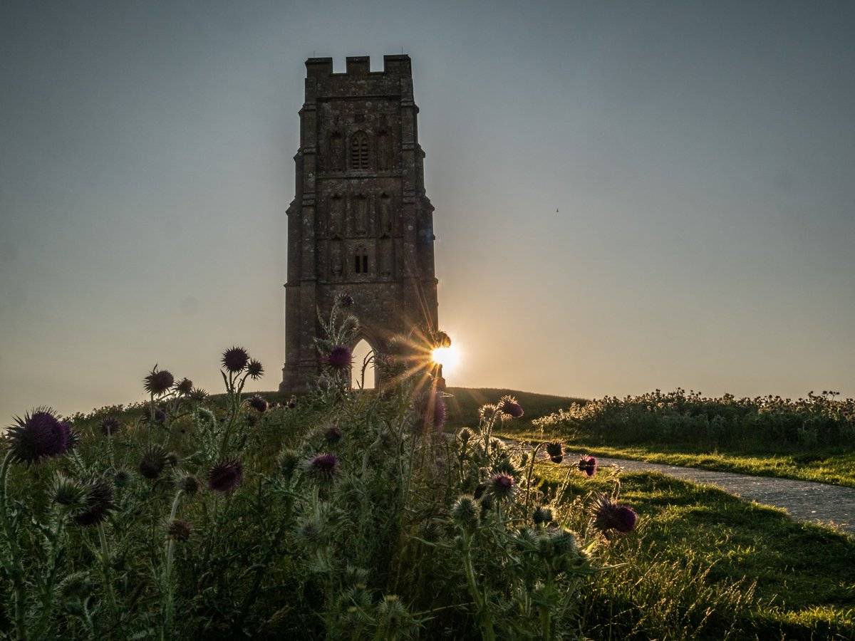 The morning sun shining across Tor hill, Glastonbury by Michelle @Glastomichelle