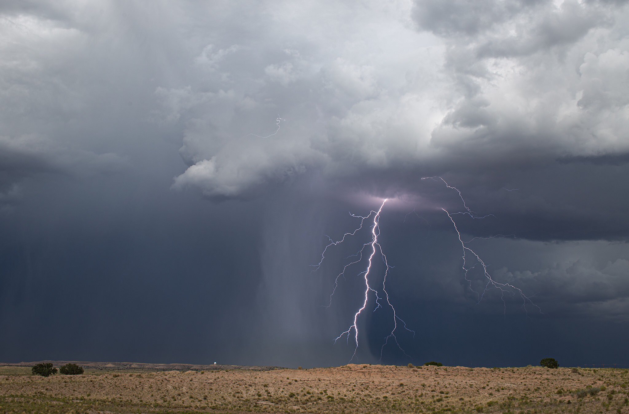 Bolt of the day. Albuquerque, New Mexico by amyMhoward @enchanted_wx 