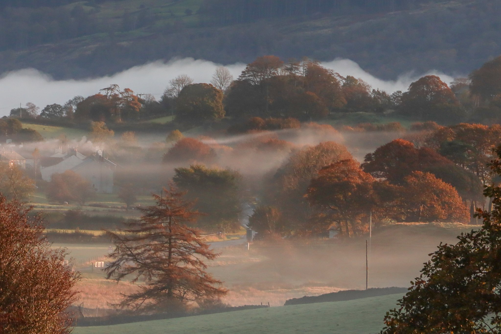 2nd Place Looking towards Coniston Water and Grizedale by Jude@green @JUDITHM58257161
