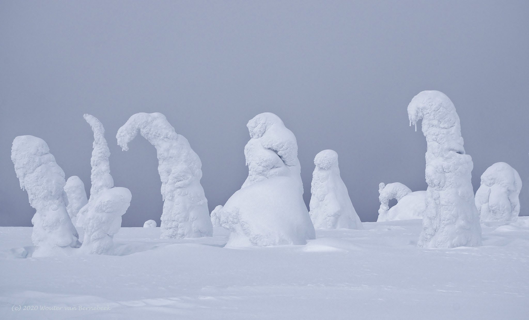 Beautiful wintermorning on top of Riisitunturi national park, Finland by Wouter van Bernebeek @StormchaserNL