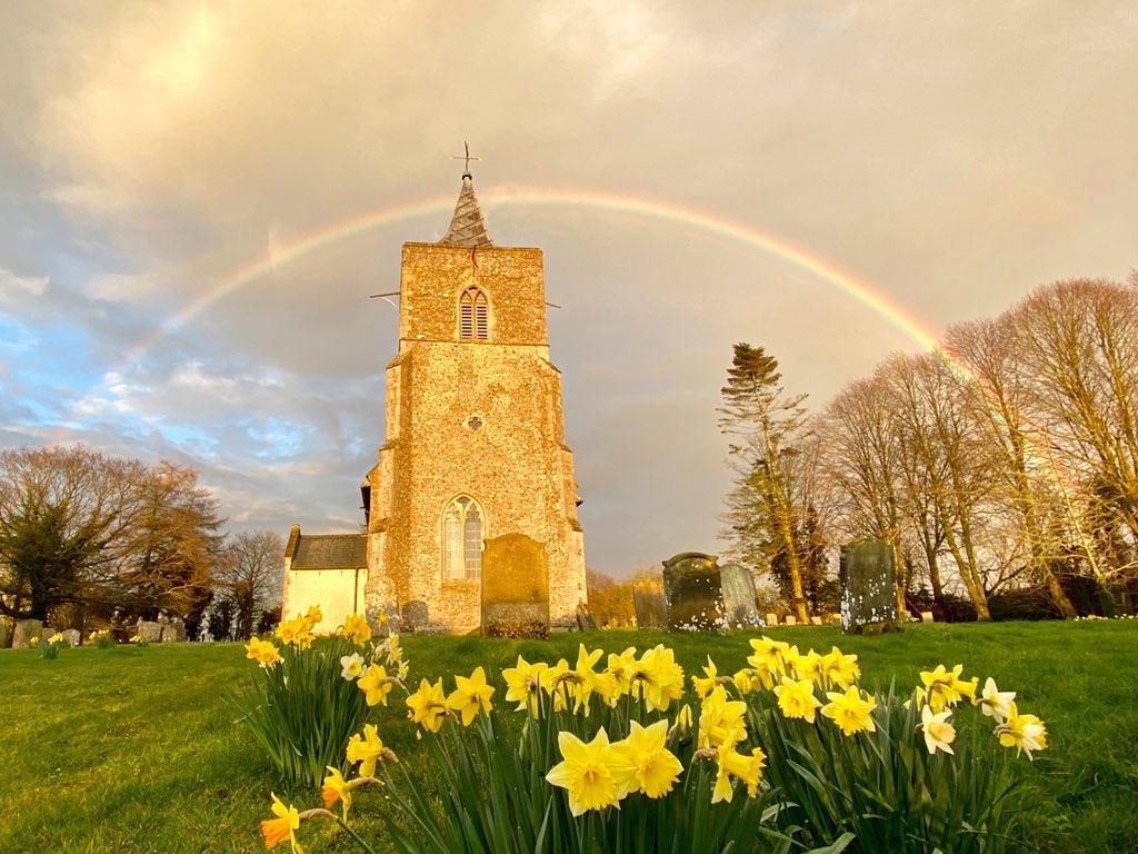 1st Place Daffodils spring to life under a full rainbow in Norfolk by Catherine McAndrew @cath_mcandrew