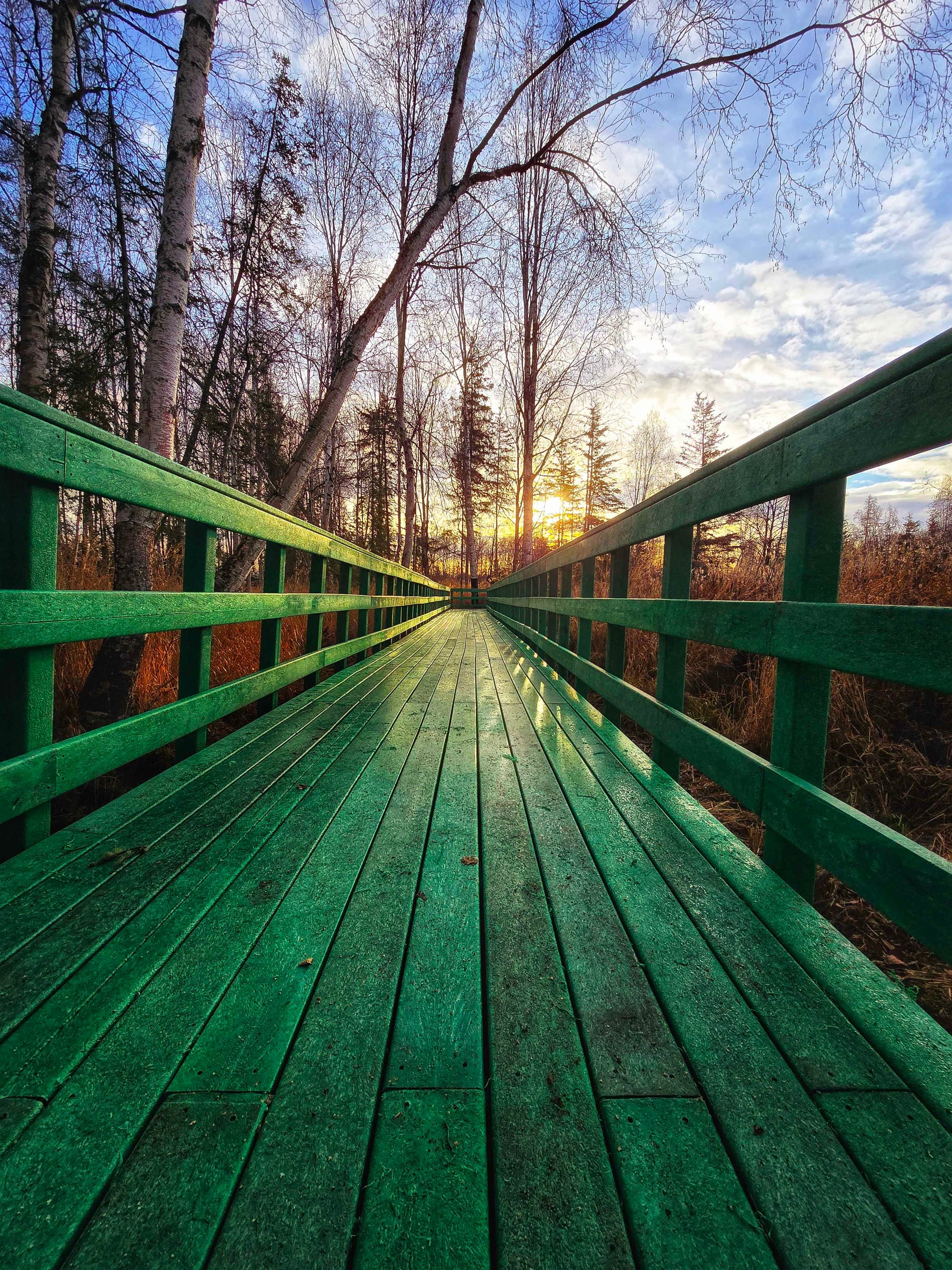The boardwalk at Susitna Rotary Park park in Houston