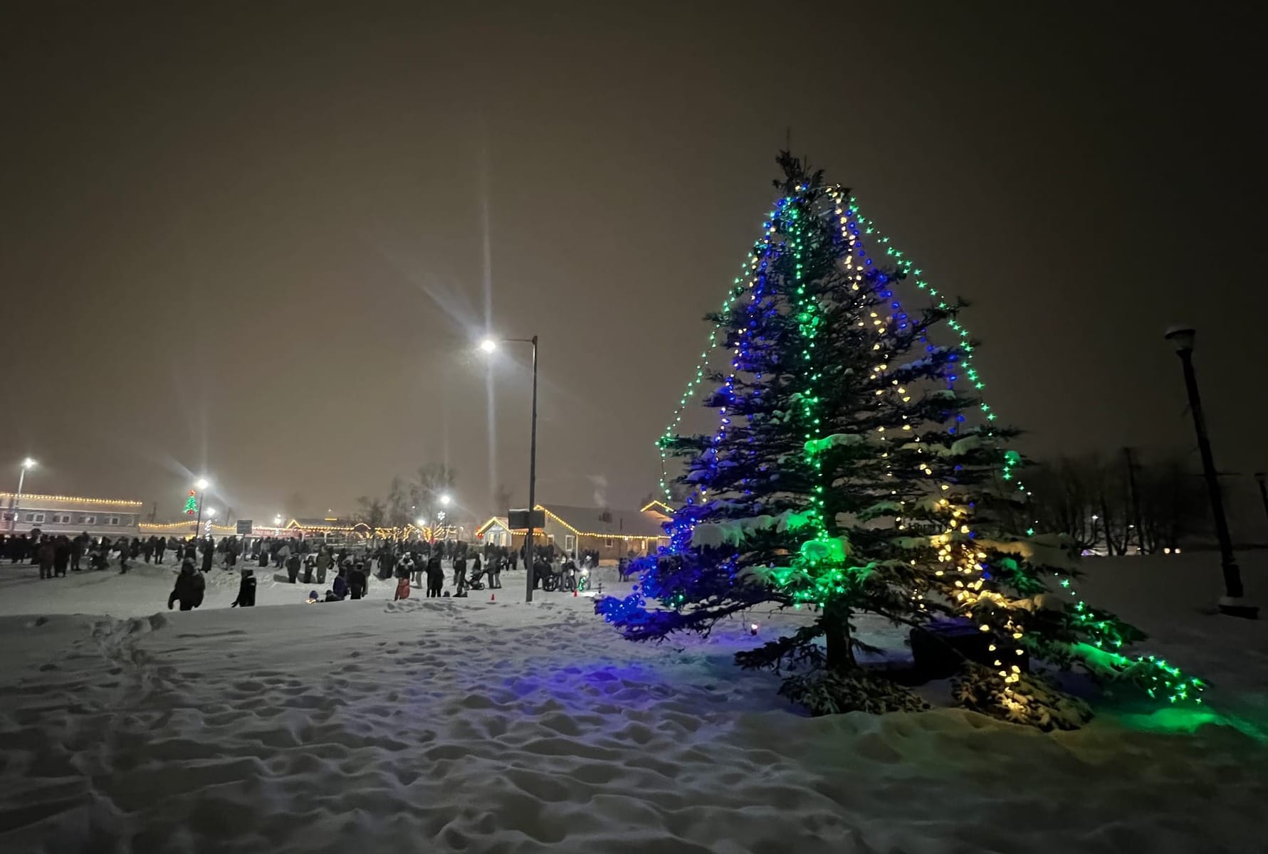 Palmer's community Christmas Tree