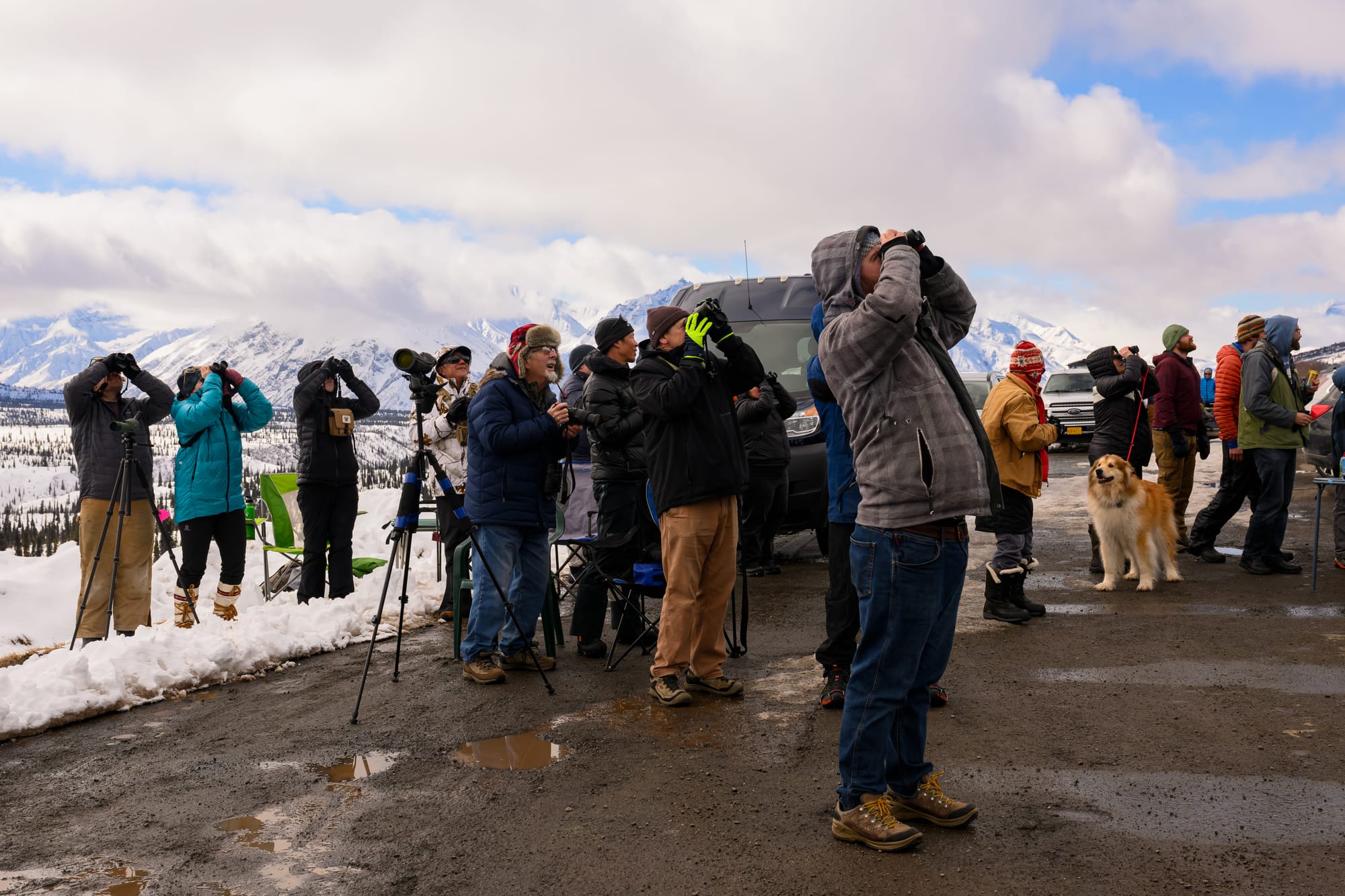 Hawkwatchers search for a raptor over the ridge