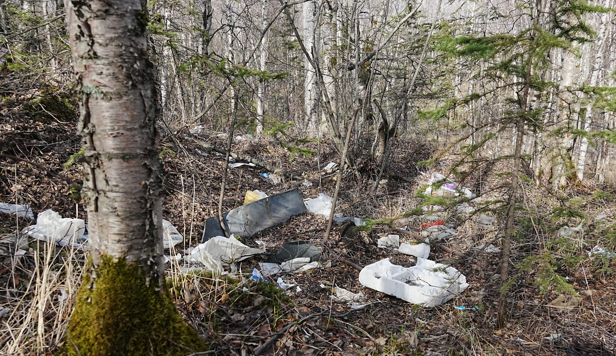 Trash coats the ground off a trail near Mat-Su College