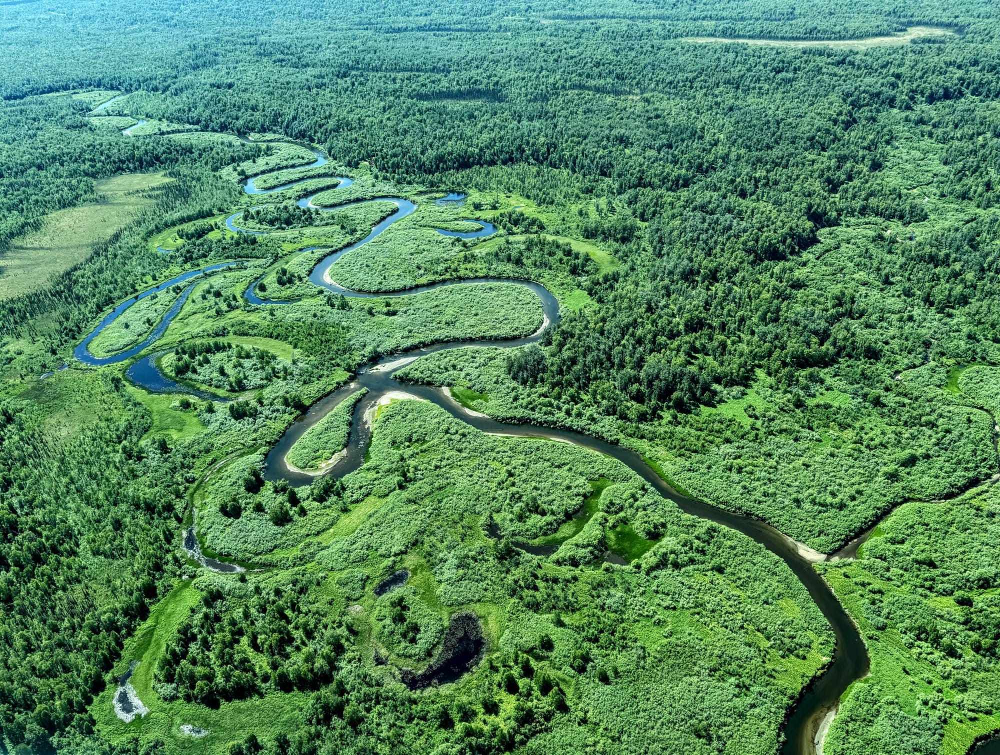 One of the many creeks in the West Susitna Valley