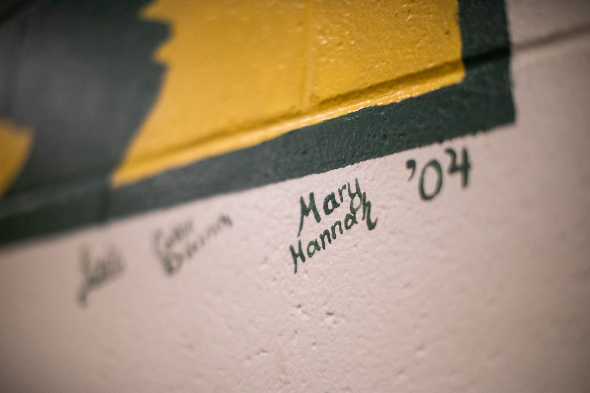 Signatures on murals inside the Glacier View School Auditorium