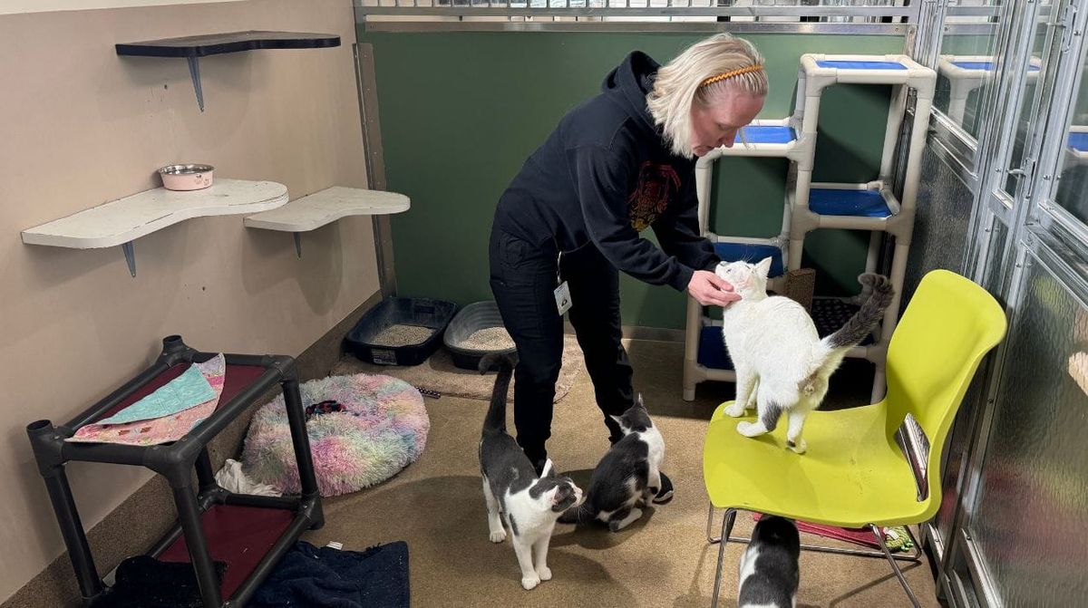 Mat-Su residents are no longer required to buy dog and cat licenses