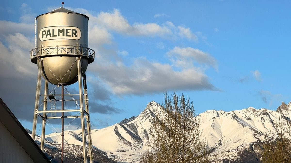 Sentinel receives Palmer Community Foundation Grant  to enhance photojournalism