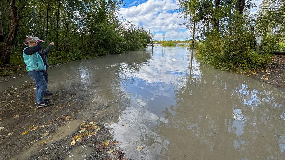 Borough declares disaster after new Talkeetna riverbank damage, Petersville Road washouts