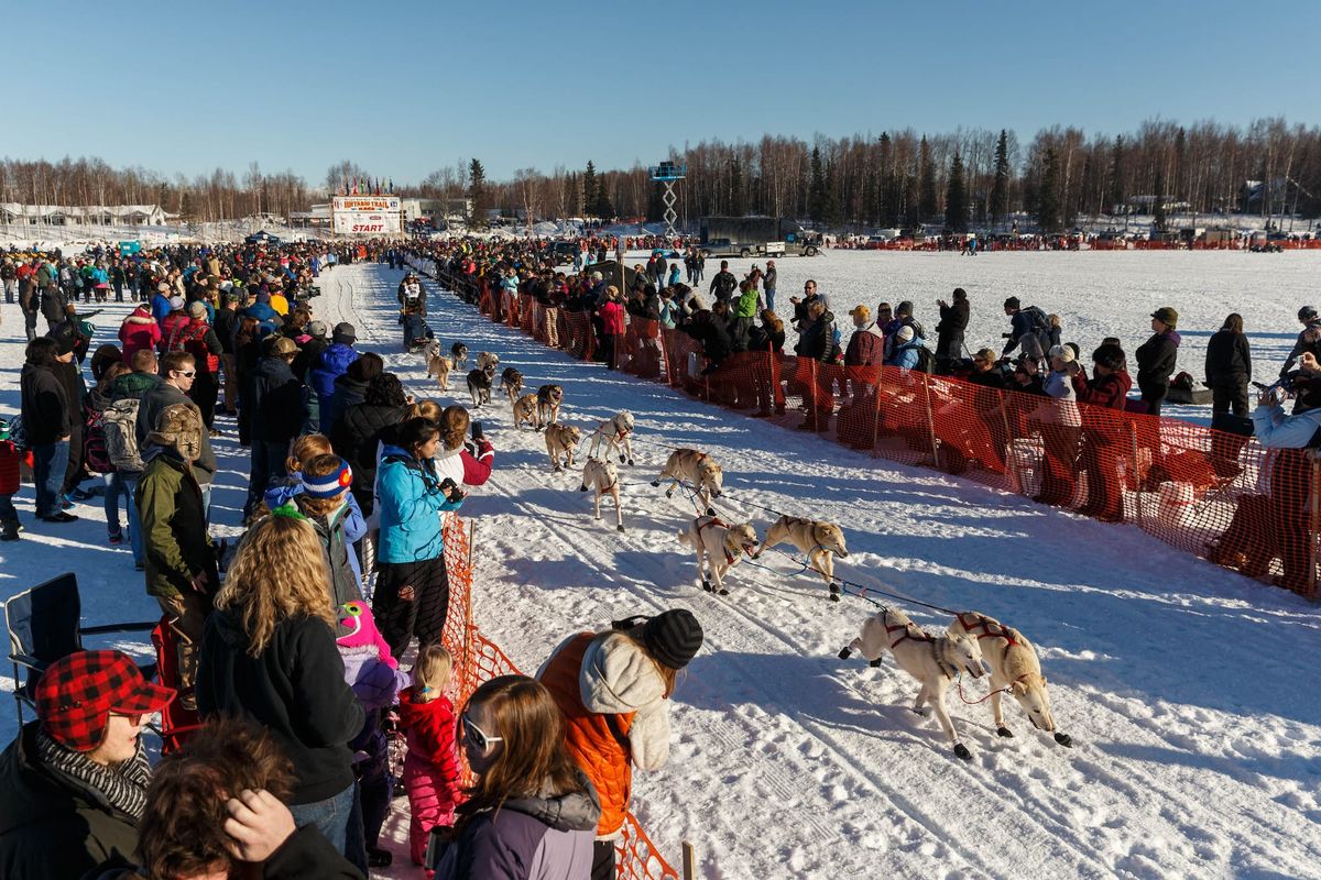 Iditarod restart returns to its Mat-Su roots Sunday