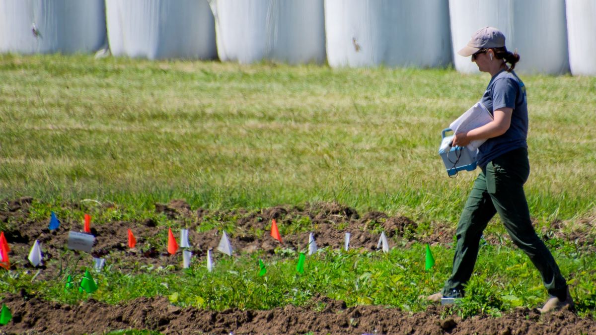 There’s more than meets the eye at Matanuska Experiment Farm