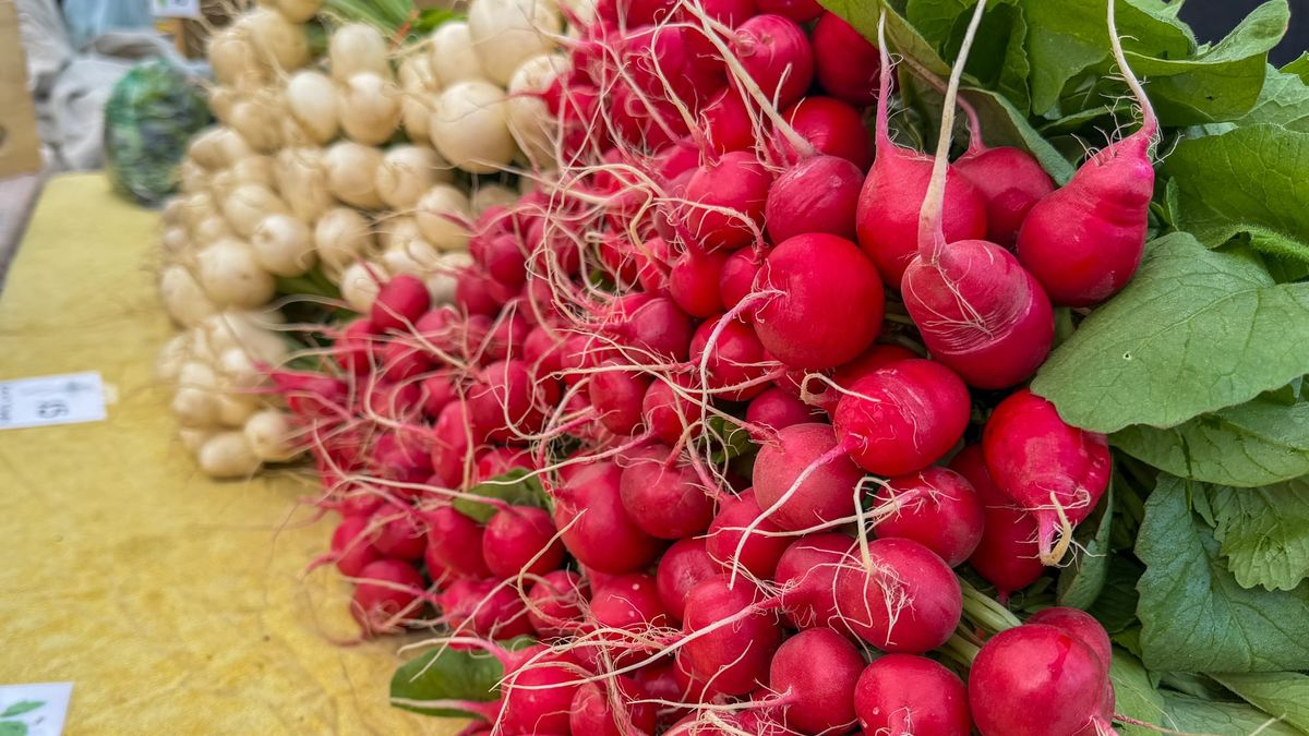 It's time for farm-fresh produce in Mat-Su. Here's where to find it.