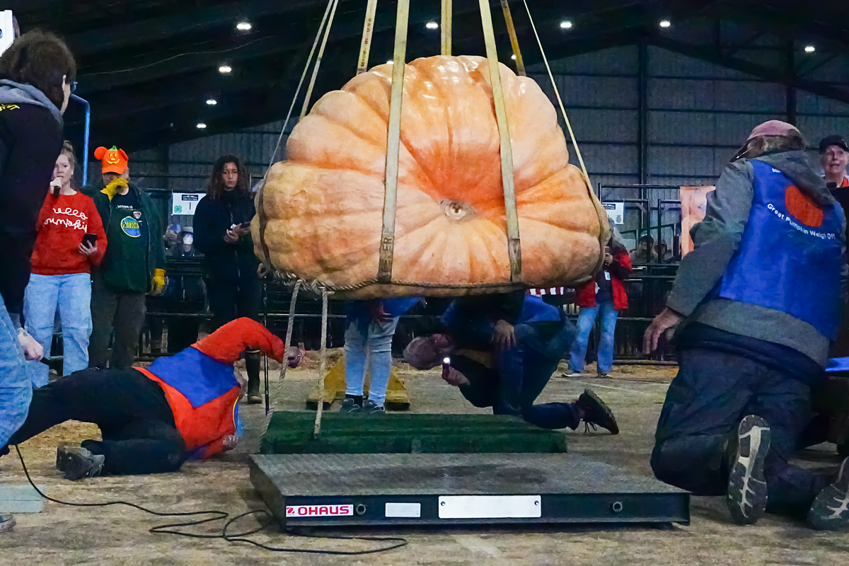 Giant 1,436-pound pumpkin takes the crown at Alaska State Fair