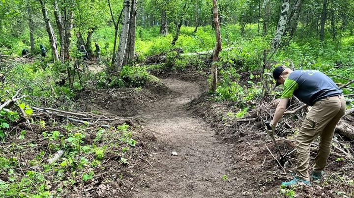 A Mat-Su Borough trail worker clears brush.