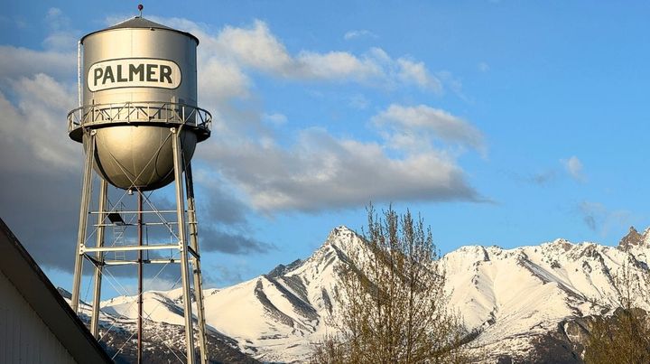 The Palmer water tower