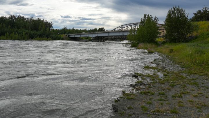 The Matansuka River near Palmer creeps close to the bike path on July 6, 2025