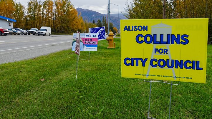 Election signs advertise Palmer candidates