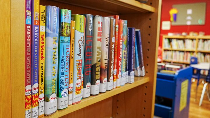 Mat-Su policy update gives volunteer board first review of new library purchases