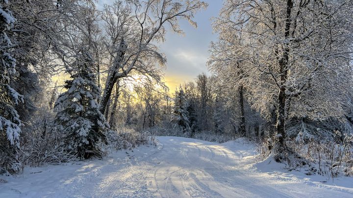 Ski trails at Government Peak Recreation Area 
