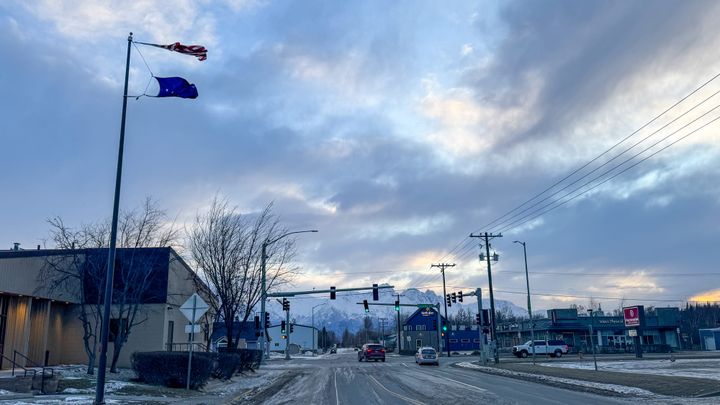 Flags suffer through strong winds about Palmer City Hall