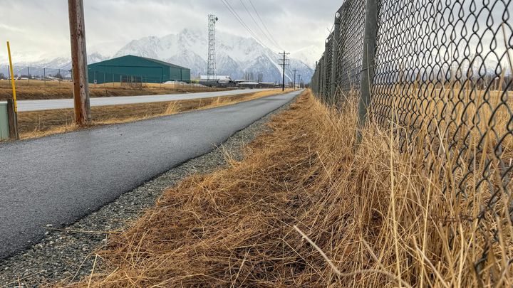 Dry grass lines a fence next to a bike path near the airport in Palmer