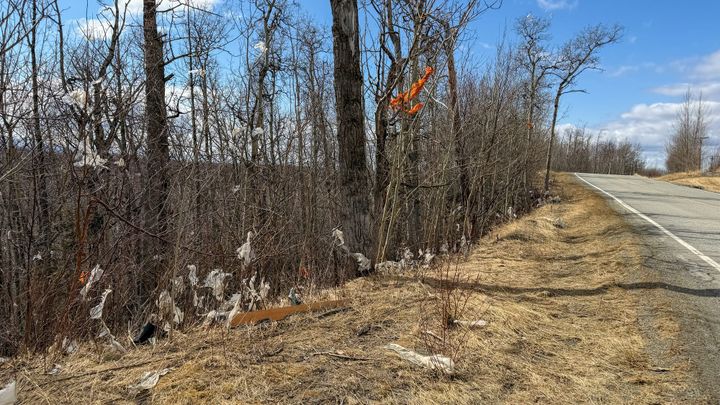 Trash fills trees and bushes along Old Matanuska Road in Wasilla