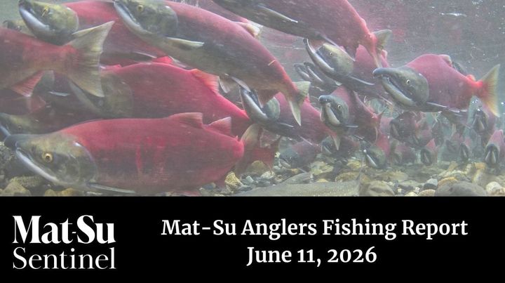 Mat-Su Anglers Fishing Report