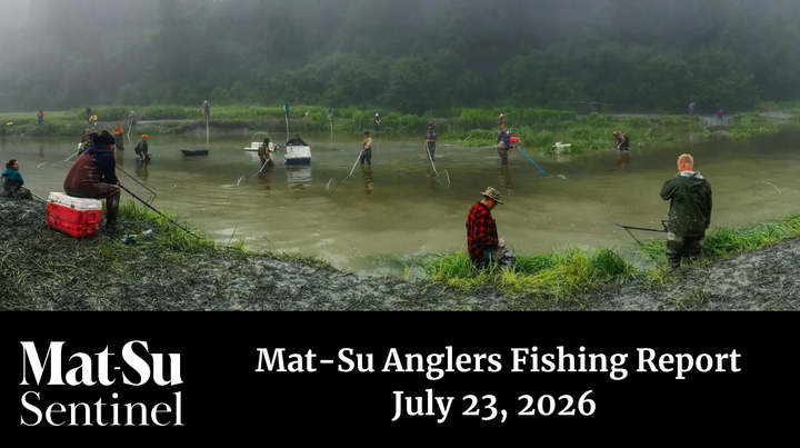 Dipnetters line Fish Creek in 2018