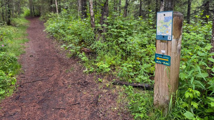An updated wayfinding sign on a trail near Matanuska Lake in Matanuska Lake State Park
