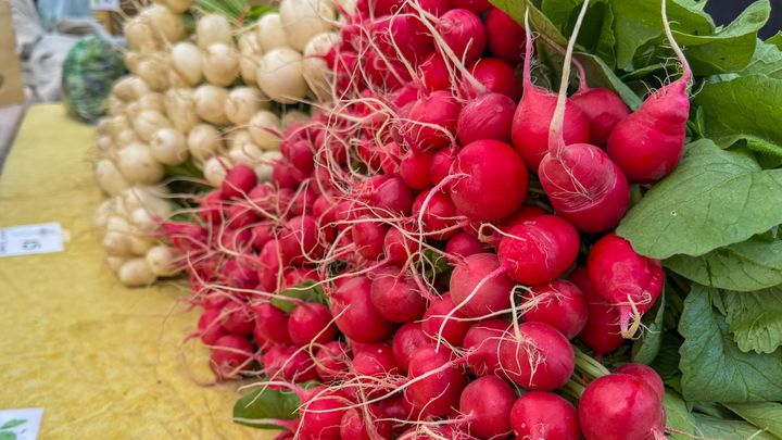 Vegetables on display at the Matanuska Community Farmers Market in June, 2026.