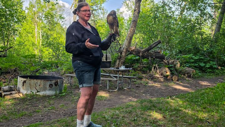 Shannon Jensen of the Alaska WildBird Rehabilitation Center