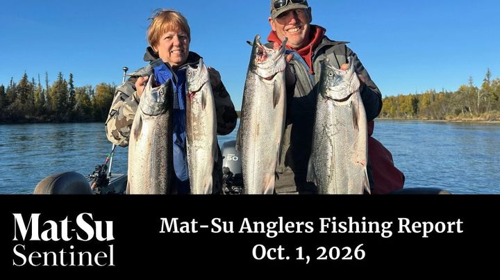 Travel down to the Kenai's late-run coho