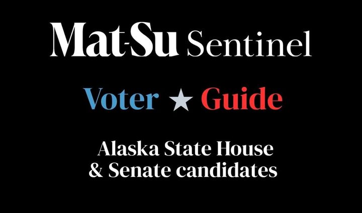 Mat-Su Sentinel voter guide art